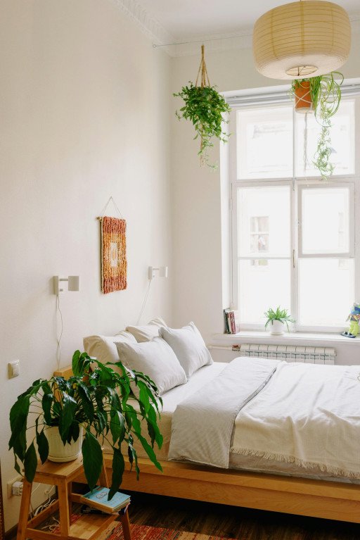 The Ultimate Guide to Ceiling Plant Hangers: Elevating Home Decor